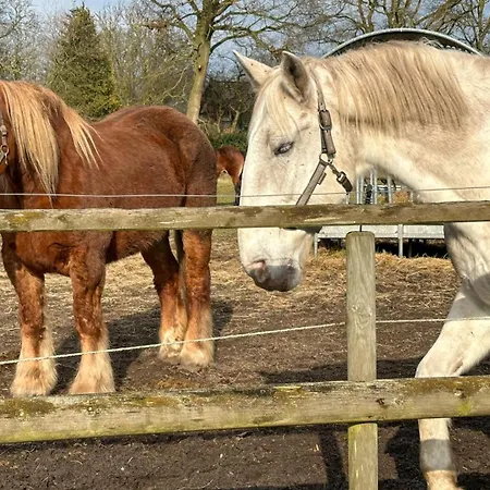 דירה Schilingshof Whg 2 *