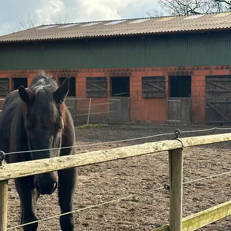 Schilingshof Whg 2 דירה