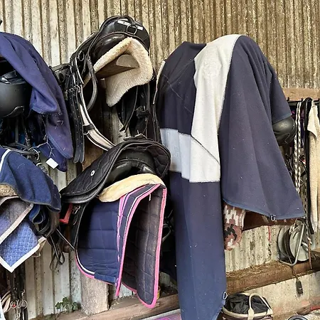 Schilingshof Whg 2 Apartamento Cuxhaven