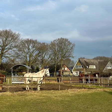 דירה Schilingshof Whg 2